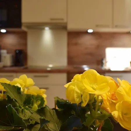 Haus Partale Apartmán