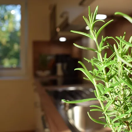 Haus Partale Apartmán