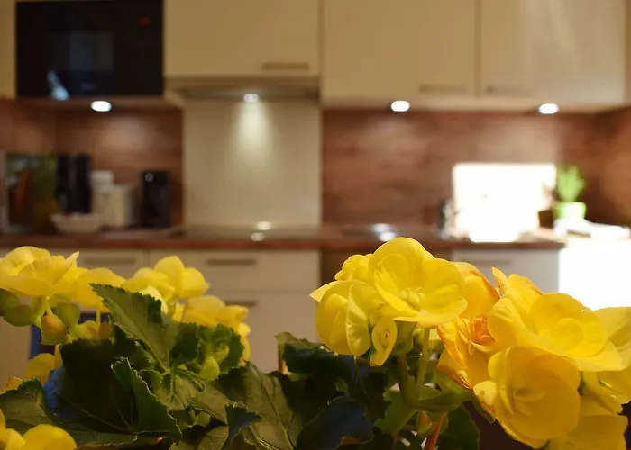 Haus Partale 아파트