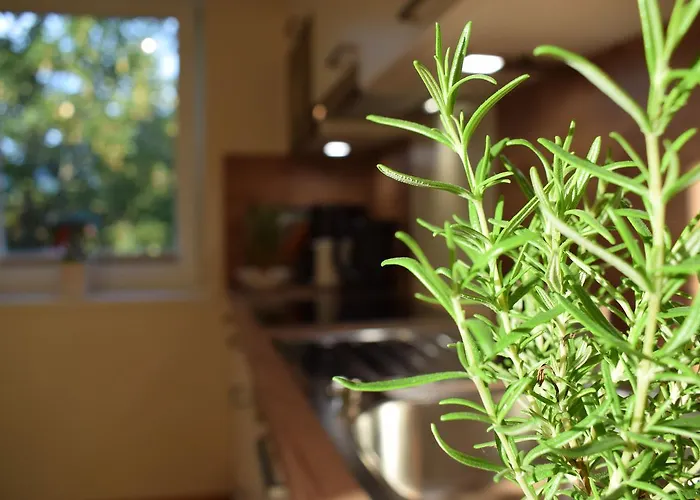 Haus Partale 아파트