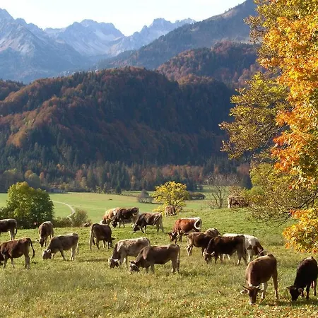 Haus Partale